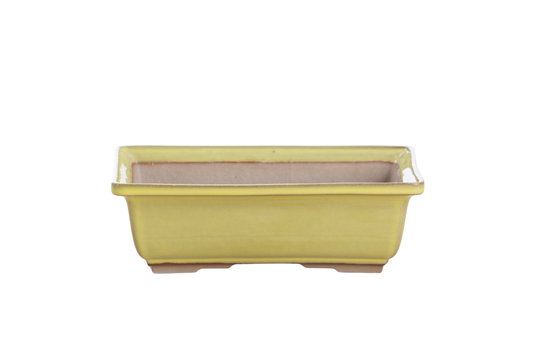 Willow Bonsai Ceramics Rectangle Bonsai Pot 8 Inch – Lower‑Profile Rectangular Ceramic Bonsai & Succulent Planter with Accentuated Rim, High‑Fired Frost‑Proof Stoneware, Handmade in USA (Yellow)