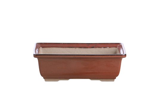 Willow Bonsai Ceramics Rectangle Bonsai Pot 8 Inch – Lower‑Profile Rectangular Ceramic Bonsai & Succulent Planter with Accentuated Rim, High‑Fired Frost‑Proof Stoneware, Handmade in USA (Sunset)