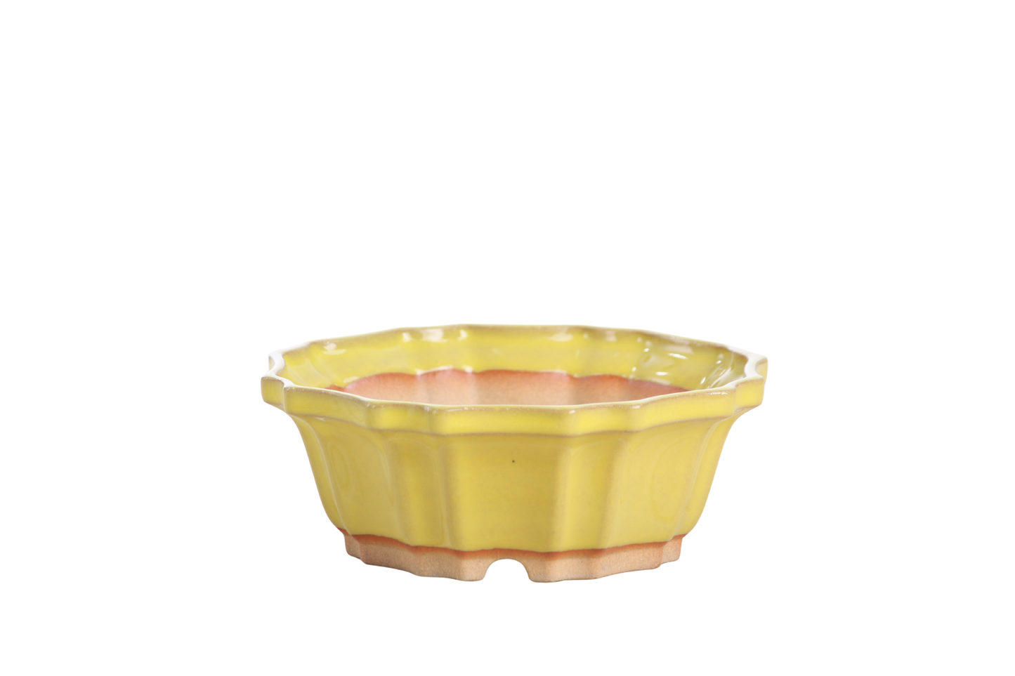 Willow Bonsai Ceramics Flower Design Bonsai Pot 5 Inch – Elegant Ceramic Bonsai & Succulent Planter, High‑Fired Frost‑Proof Stoneware with Drainage & Wiring Holes, Handmade in USA (Yellow)
