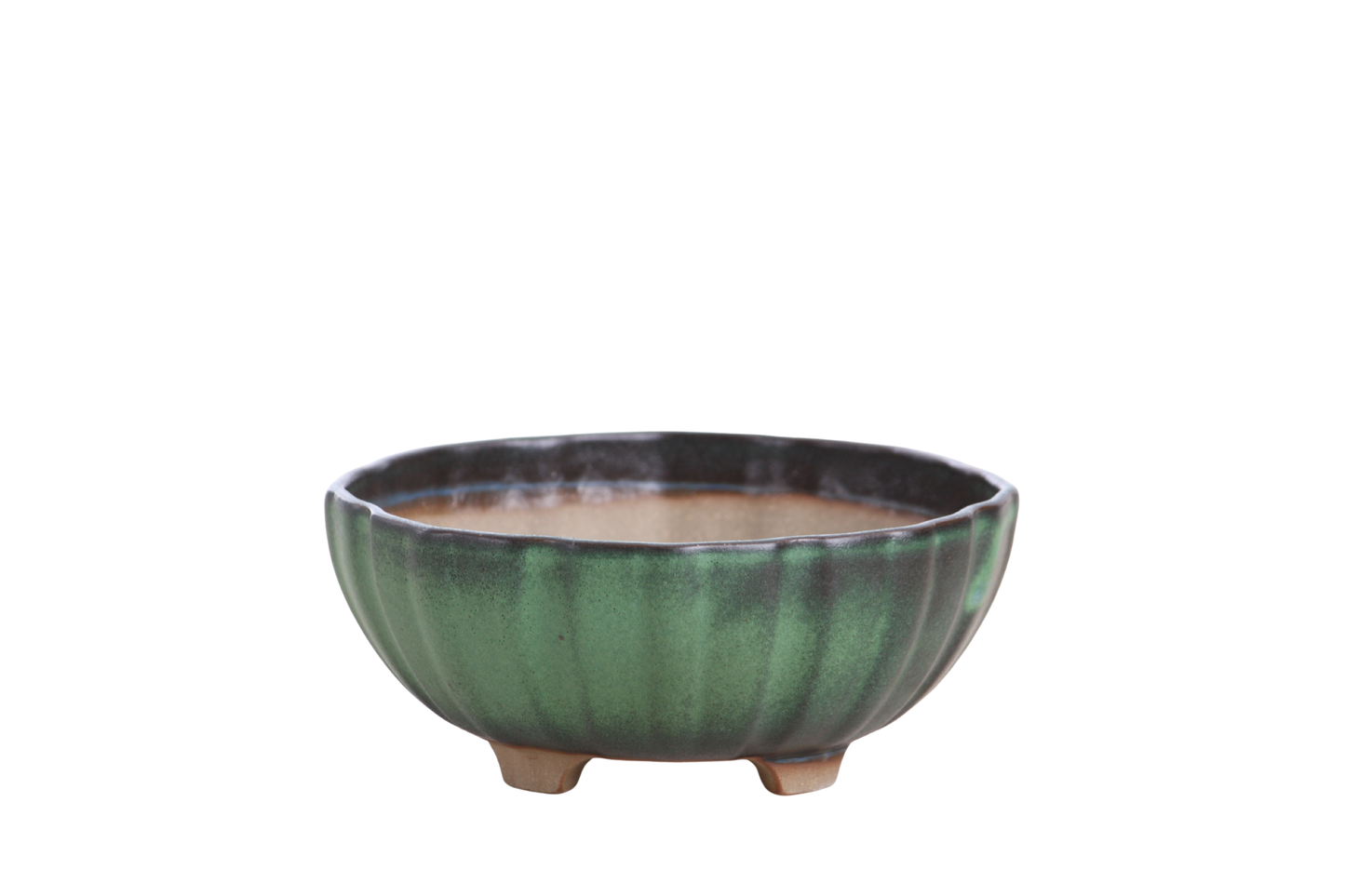 Willow Bonsai Ceramics Lily Bonsai Pot 5.5 Inch – Sculpted Rounded Ceramic Bonsai & Succulent Planter with Wavy Profile, High‑Fired Frost‑Proof Stoneware, Handmade in USA (Avocado)