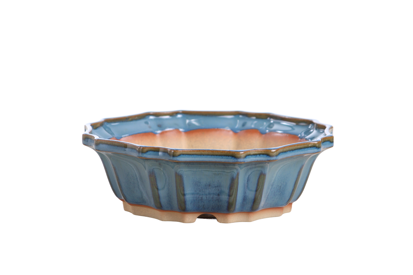 Willow Bonsai Ceramics Flower Design Bonsai Pot 8 Inch – Elegant Ceramic Bonsai & Succulent Planter, High‑Fired Frost‑Proof Stoneware with Drainage & Wiring Holes, Handmade in USA (Peacock 2025)