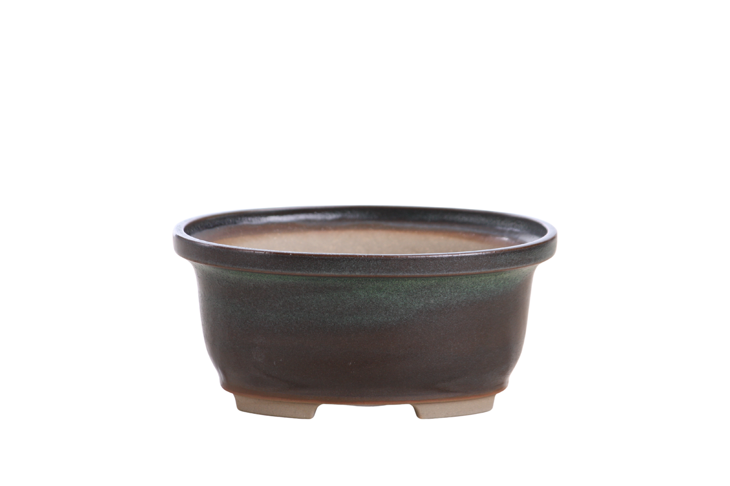 Willow Bonsai Ceramics Fat Bonsai Pot 5.5 Inch – Bold Oval Ceramic Bonsai & Succulent Planter with Accentuated Rim, High‑Fired Frost‑Proof Stoneware, Handmade in USA (Avocado)