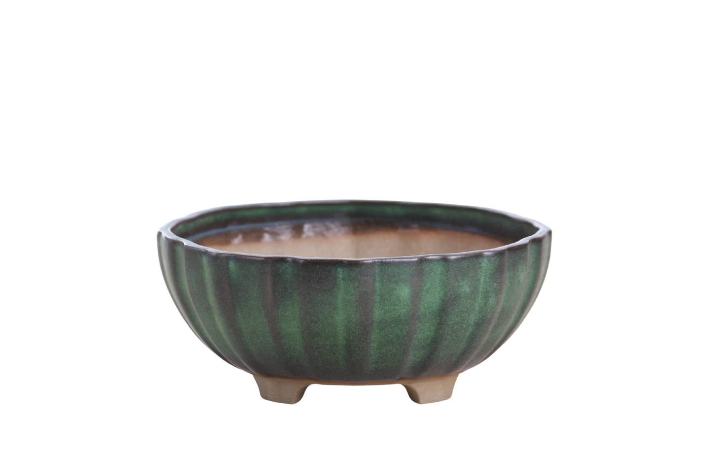 Willow Bonsai Ceramics Lily Bonsai Pot 6 Inch – Sculpted Rounded Ceramic Bonsai & Succulent Planter with Wavy Profile, High‑Fired Frost‑Proof Stoneware, Handmade in USA (Avocado)