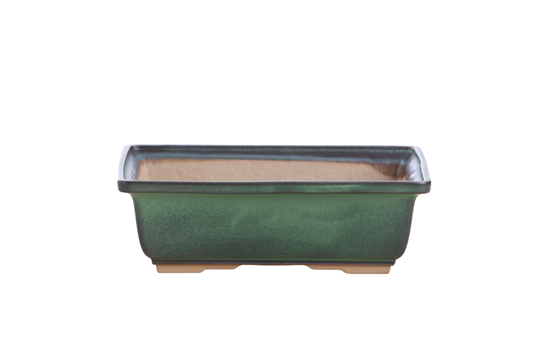 Willow Bonsai Ceramics Rectangle Bonsai Pot 8 Inch – Lower‑Profile Rectangular Ceramic Bonsai & Succulent Planter with Accentuated Rim, High‑Fired Frost‑Proof Stoneware, Handmade in USA (Avocado)