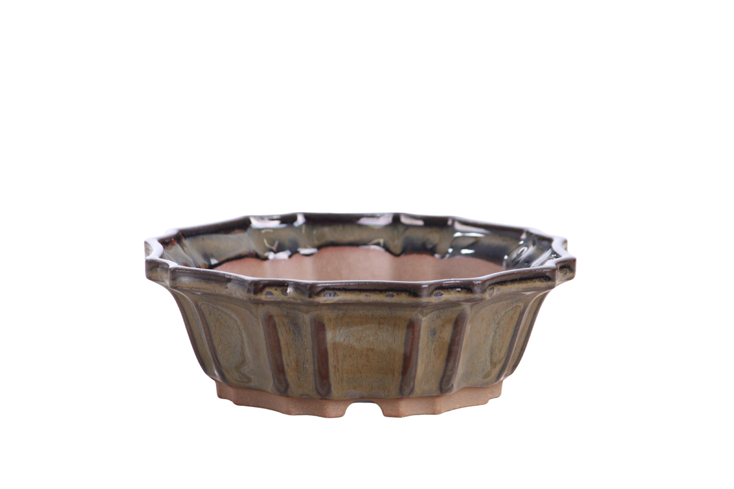 Willow Bonsai Ceramics Flower Design Bonsai Pot 6.5 Inch – Elegant Ceramic Bonsai & Succulent Planter, High‑Fired Frost‑Proof Stoneware with Drainage & Wiring Holes, Handmade in USA (Dark Honey)