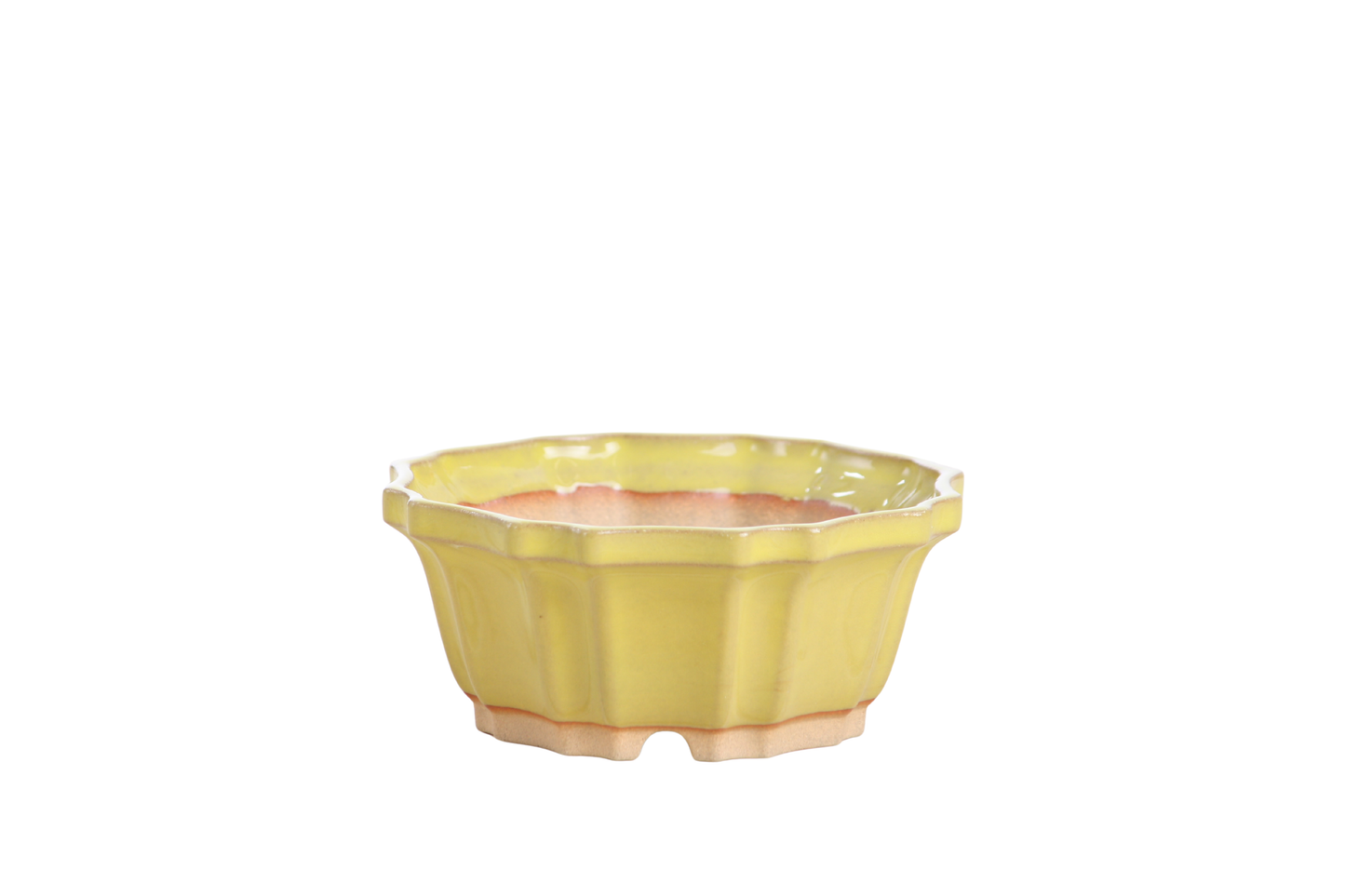 Willow Bonsai Ceramics Flower Design Bonsai Pot 4.5 Inch – Elegant Ceramic Bonsai & Succulent Planter, High‑Fired Frost‑Proof Stoneware with Drainage & Wiring Holes, Handmade in USA (Yellow)