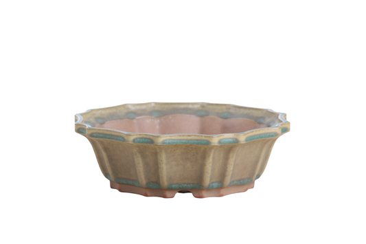 Willow Bonsai Ceramics Flower Design Bonsai Pot 8 Inch – Elegant Ceramic Bonsai & Succulent Planter, High‑Fired Frost‑Proof Stoneware with Drainage & Wiring Holes, Handmade in USA (Speckled Moss)