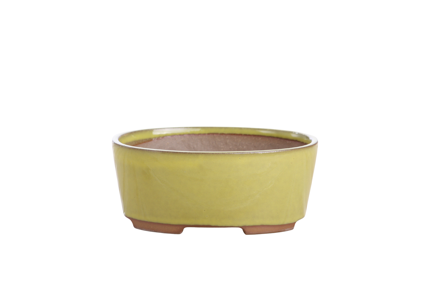 Willow Bonsai Ceramics Oval A Bonsai Pot 6 Inch – Straight‑Sided Oval Ceramic Bonsai & Succulent Planter, High‑Fired Frost‑Proof Stoneware with Drainage & Wiring Holes, Handmade in USA (Yellow)