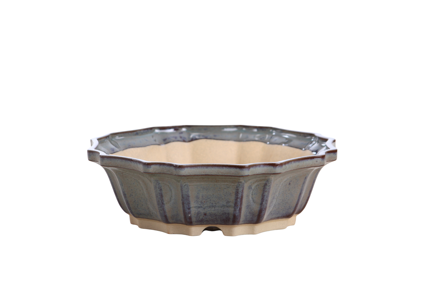 Willow Bonsai Ceramics Flower Design Bonsai Pot 8 Inch – Elegant Ceramic Bonsai & Succulent Planter, High‑Fired Frost‑Proof Stoneware with Drainage & Wiring Holes, Handmade in USA (Starry Night)
