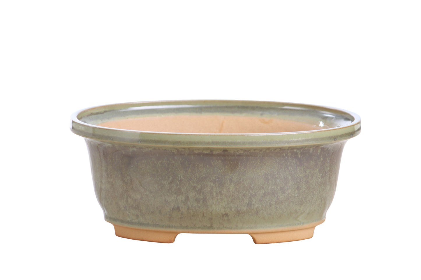 Willow Bonsai Ceramics Fat Bonsai Pot 7.5 Inch – Bold Oval Ceramic Bonsai & Succulent Planter with Accentuated Rim, High‑Fired Frost‑Proof Stoneware, Handmade in USA (Copenhagen)