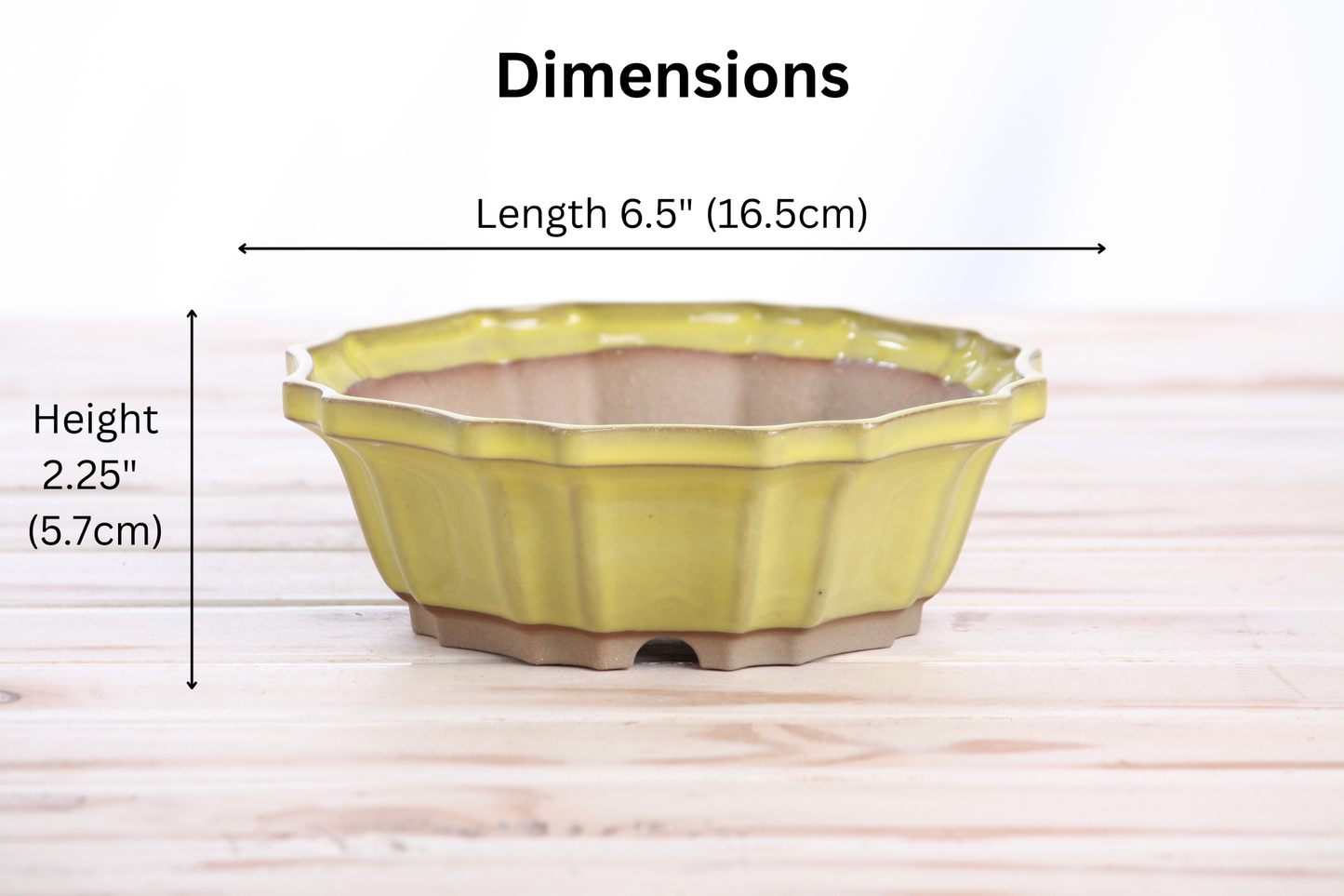 Willow Bonsai Ceramics Flower Design Bonsai Pot 6.5 Inch – Elegant Ceramic Bonsai & Succulent Planter, High‑Fired Frost‑Proof Stoneware with Drainage & Wiring Holes, Handmade in USA (Yellow)