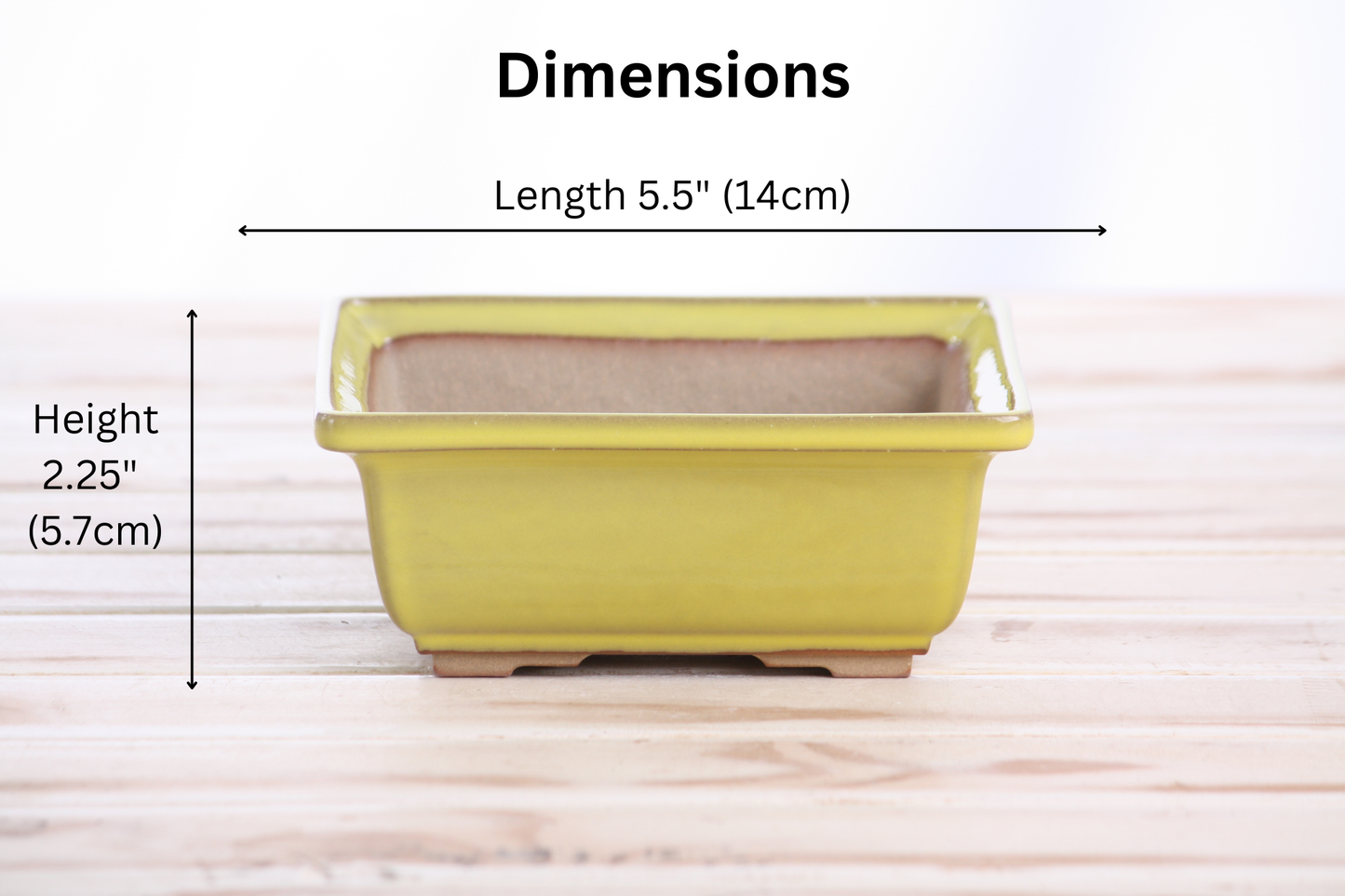 Willow Bonsai Ceramics Square Bonsai Pot 5.5 Inch – Low‑Profile Square Ceramic Bonsai & Succulent Planter with Accentuated Rim, High‑Fired Frost‑Proof Stoneware, Handmade in USA (Yellow)
