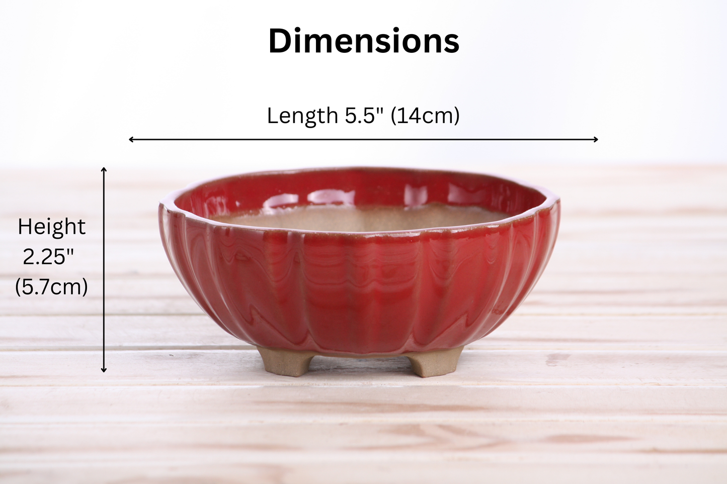 Willow Bonsai Ceramics Lily Bonsai Pot 5.5 Inch – Sculpted Rounded Ceramic Bonsai & Succulent Planter with Wavy Profile, High‑Fired Frost‑Proof Stoneware, Handmade in USA (Red)