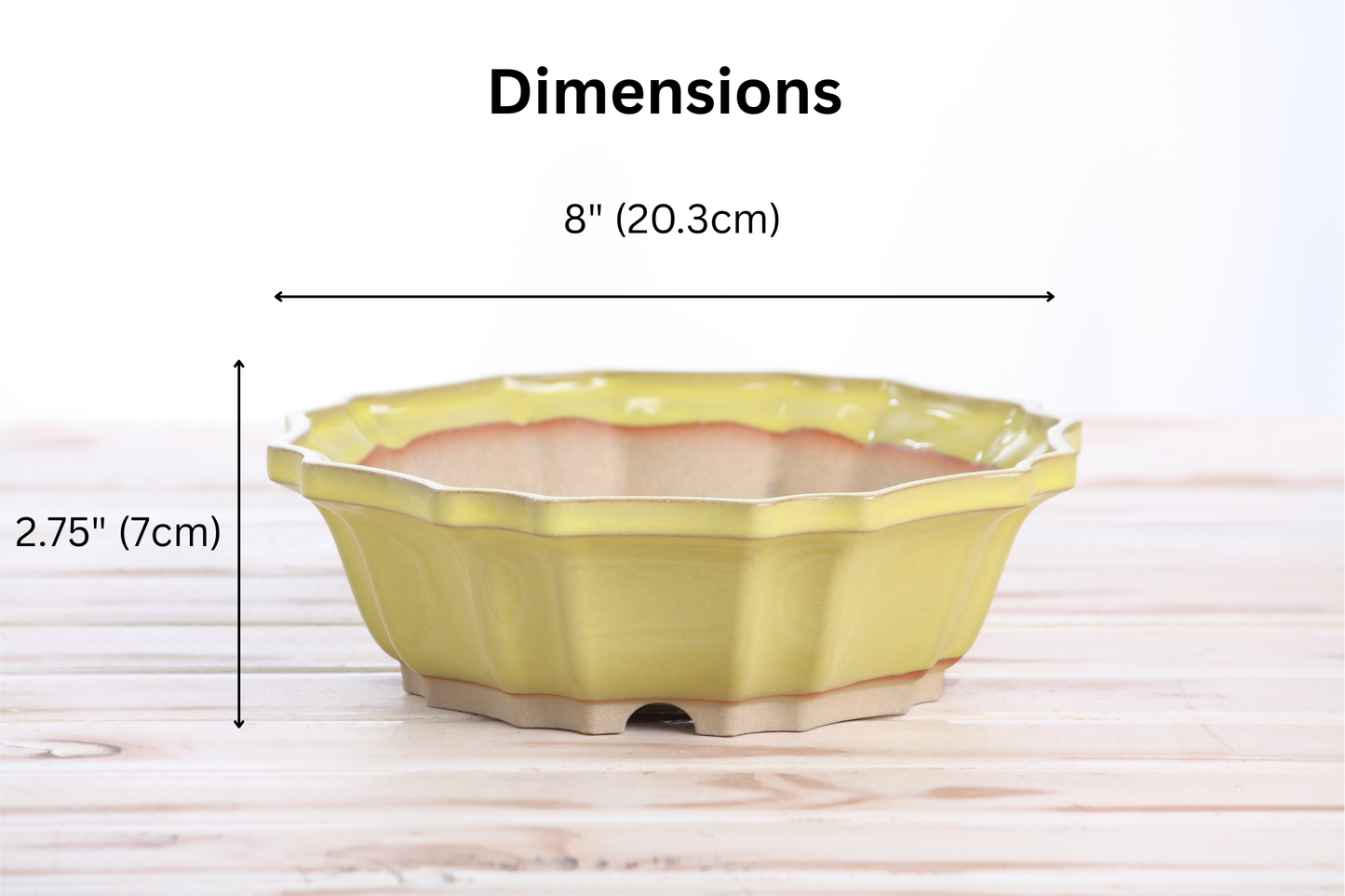 Willow Bonsai Ceramics Flower Design Bonsai Pot 8 Inch – Elegant Ceramic Bonsai & Succulent Planter, High‑Fired Frost‑Proof Stoneware with Drainage & Wiring Holes, Handmade in USA (Yellow)