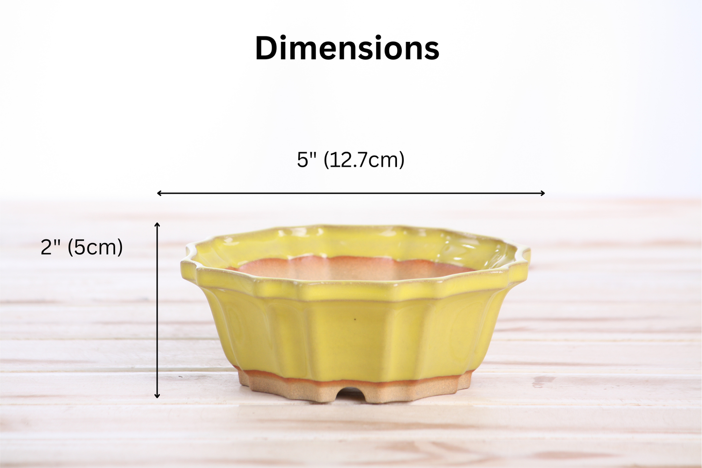 Willow Bonsai Ceramics Flower Design Bonsai Pot 5 Inch – Elegant Ceramic Bonsai & Succulent Planter, High‑Fired Frost‑Proof Stoneware with Drainage & Wiring Holes, Handmade in USA (Yellow)