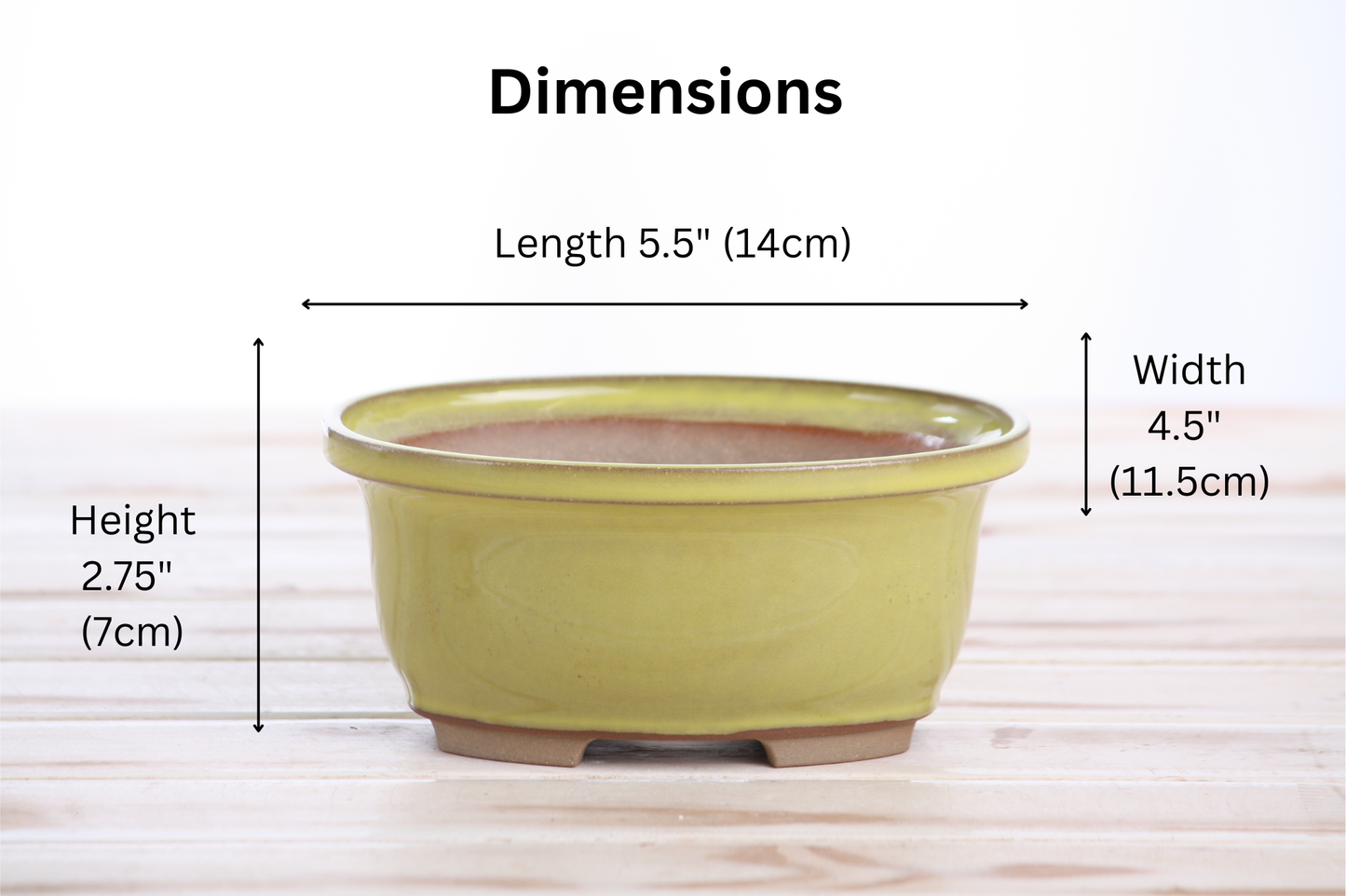 Willow Bonsai Ceramics Fat Bonsai Pot 5.5 Inch – Bold Oval Ceramic Bonsai & Succulent Planter with Accentuated Rim, High‑Fired Frost‑Proof Stoneware, Handmade in USA (Yellow)