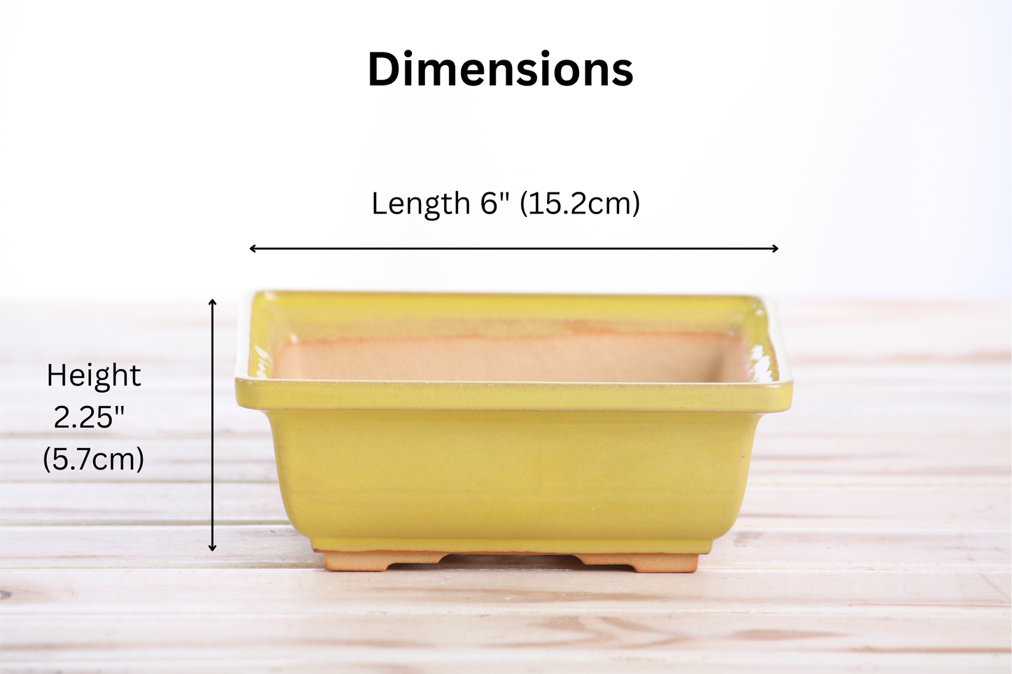 Willow Bonsai Ceramics Square Bonsai Pot 6 Inch – Low‑Profile Square Ceramic Bonsai & Succulent Planter with Accentuated Rim, High‑Fired Frost‑Proof Stoneware, Handmade in USA (Yellow)