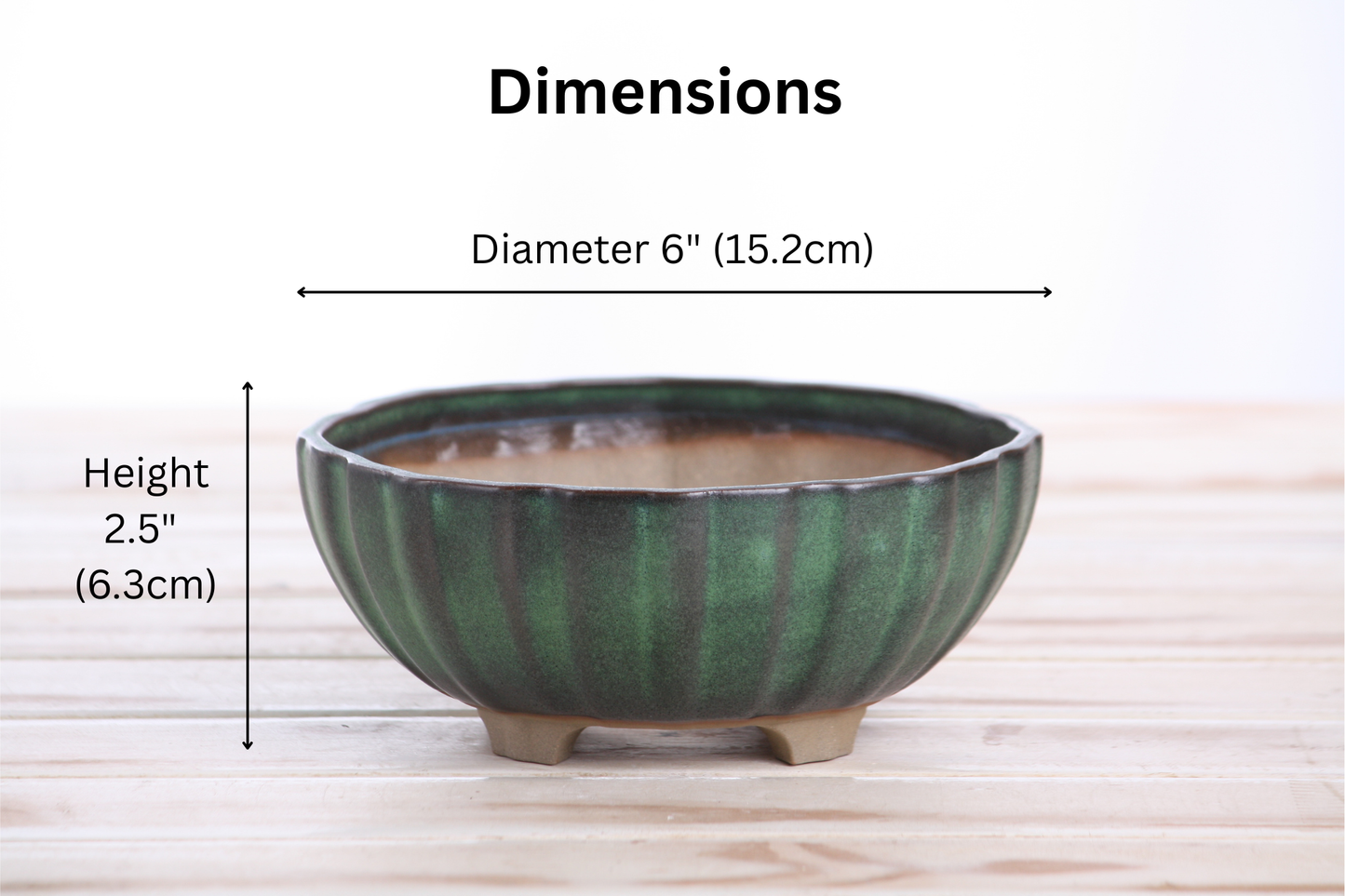 Willow Bonsai Ceramics Lily Bonsai Pot 6 Inch – Sculpted Rounded Ceramic Bonsai & Succulent Planter with Wavy Profile, High‑Fired Frost‑Proof Stoneware, Handmade in USA (Avocado)