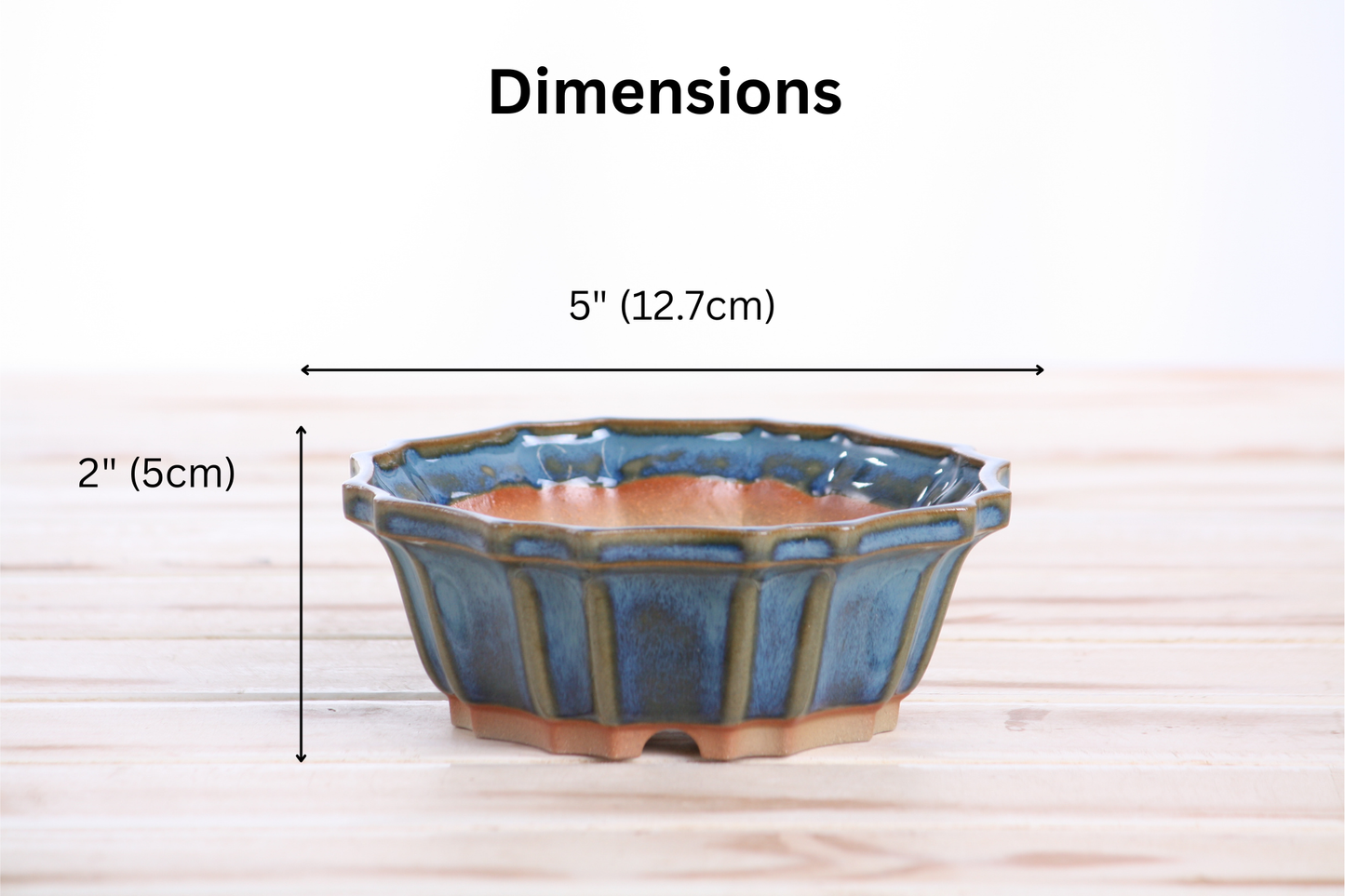 Willow Bonsai Ceramics Flower Design Bonsai Pot 5 Inch – Elegant Ceramic Bonsai & Succulent Planter, High‑Fired Frost‑Proof Stoneware with Drainage & Wiring Holes, Handmade in USA (Peacock 2025)