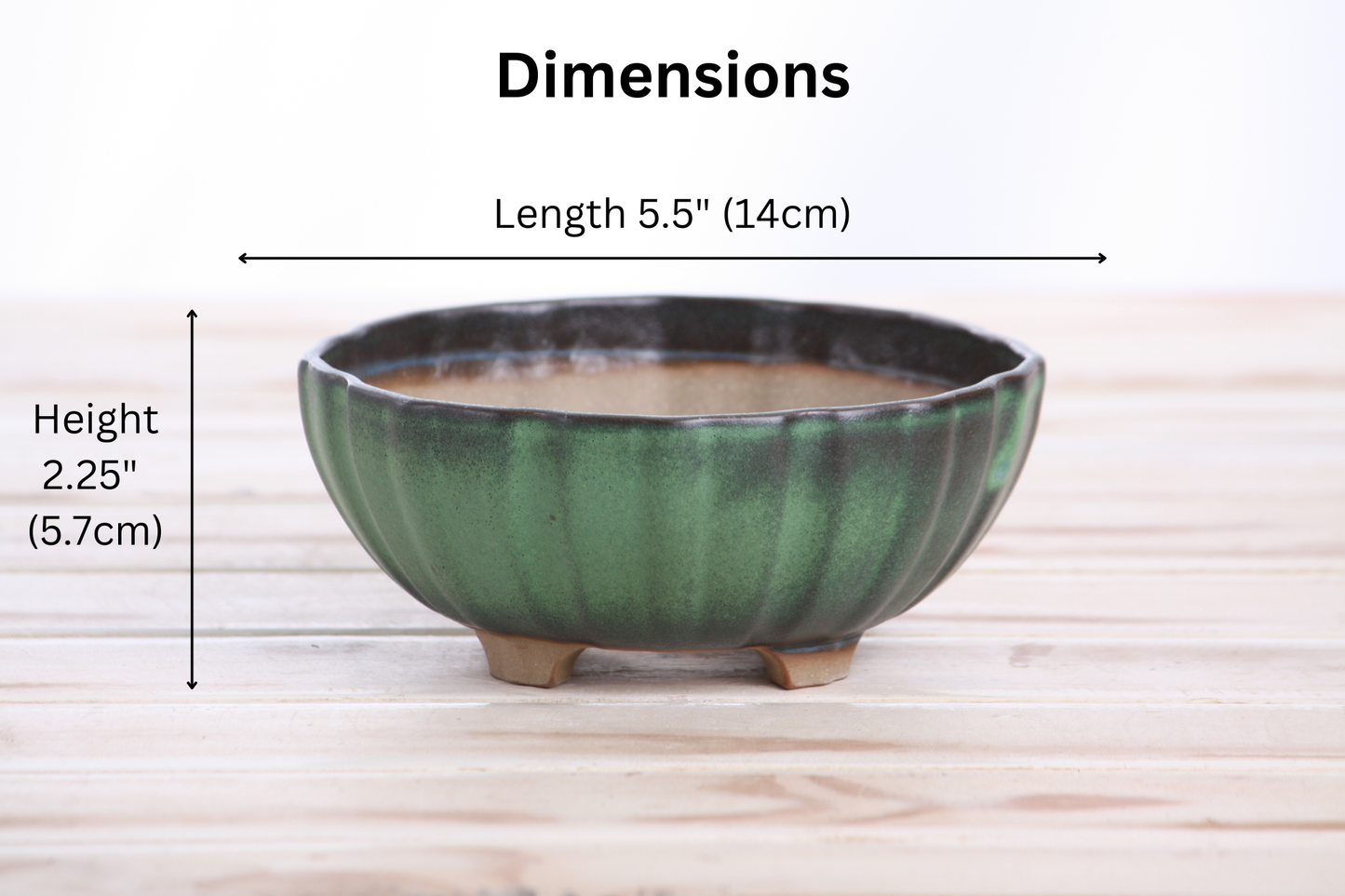 Willow Bonsai Ceramics Lily Bonsai Pot 5.5 Inch – Sculpted Rounded Ceramic Bonsai & Succulent Planter with Wavy Profile, High‑Fired Frost‑Proof Stoneware, Handmade in USA (Avocado)
