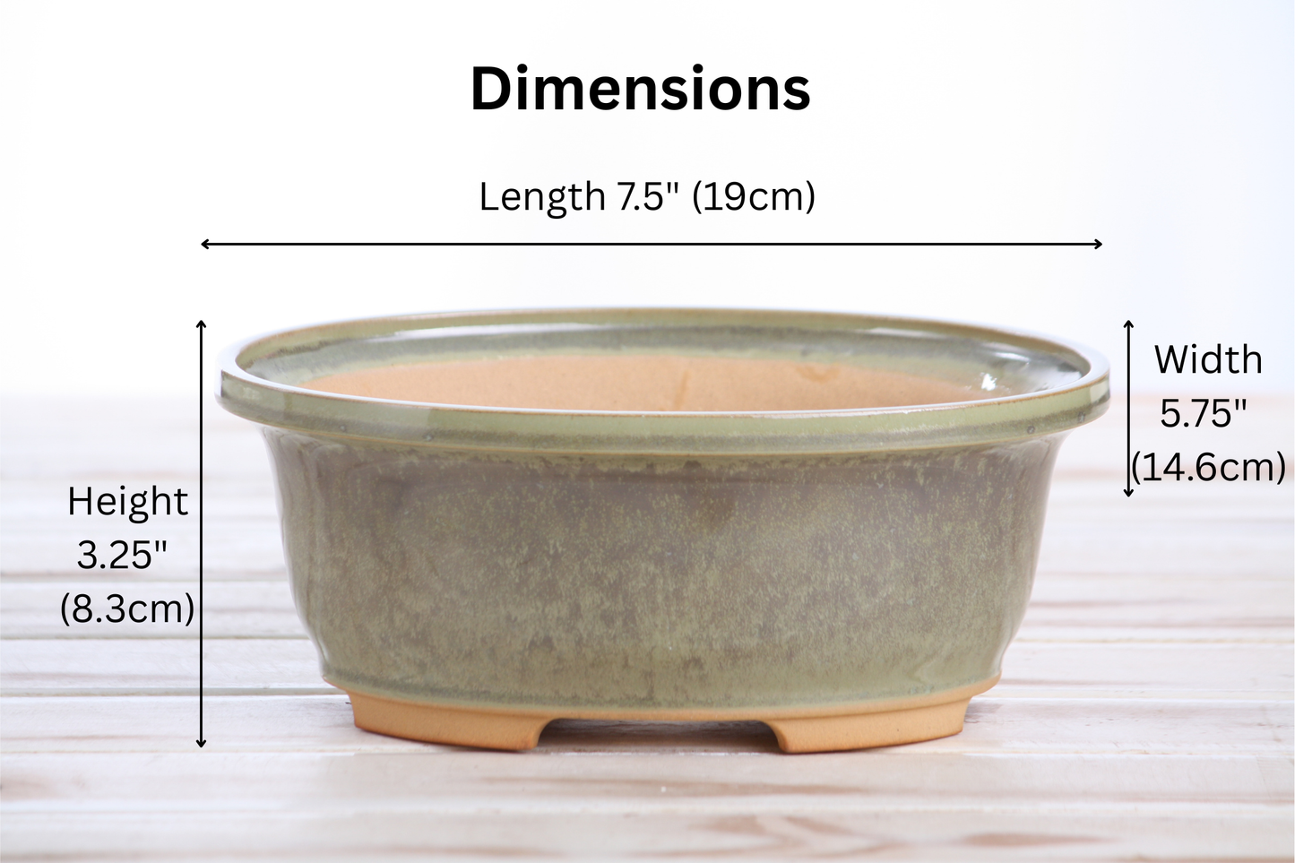 Willow Bonsai Ceramics Fat Bonsai Pot 7.5 Inch – Bold Oval Ceramic Bonsai & Succulent Planter with Accentuated Rim, High‑Fired Frost‑Proof Stoneware, Handmade in USA (Copenhagen)
