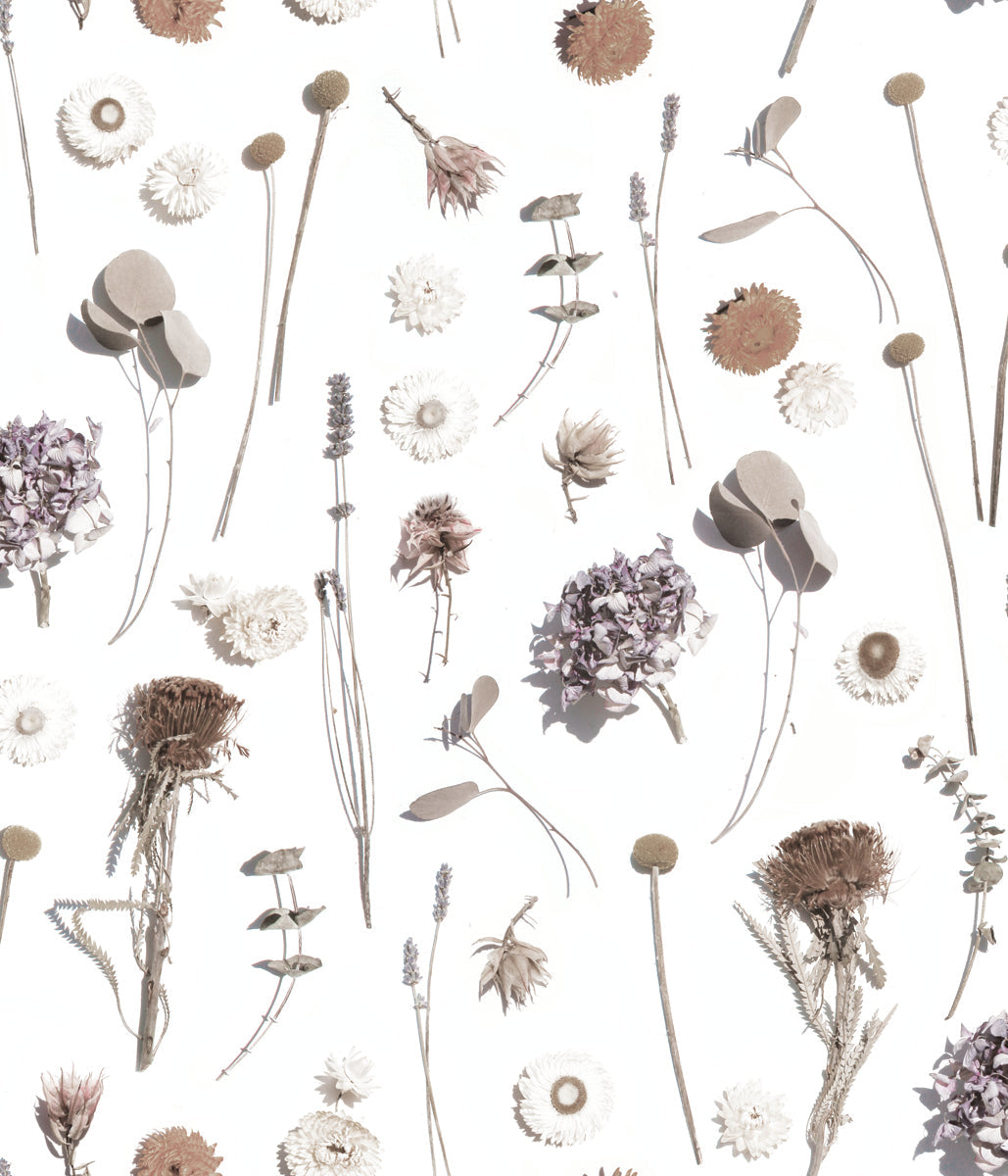 Dried Flora Wallpaper, neutral