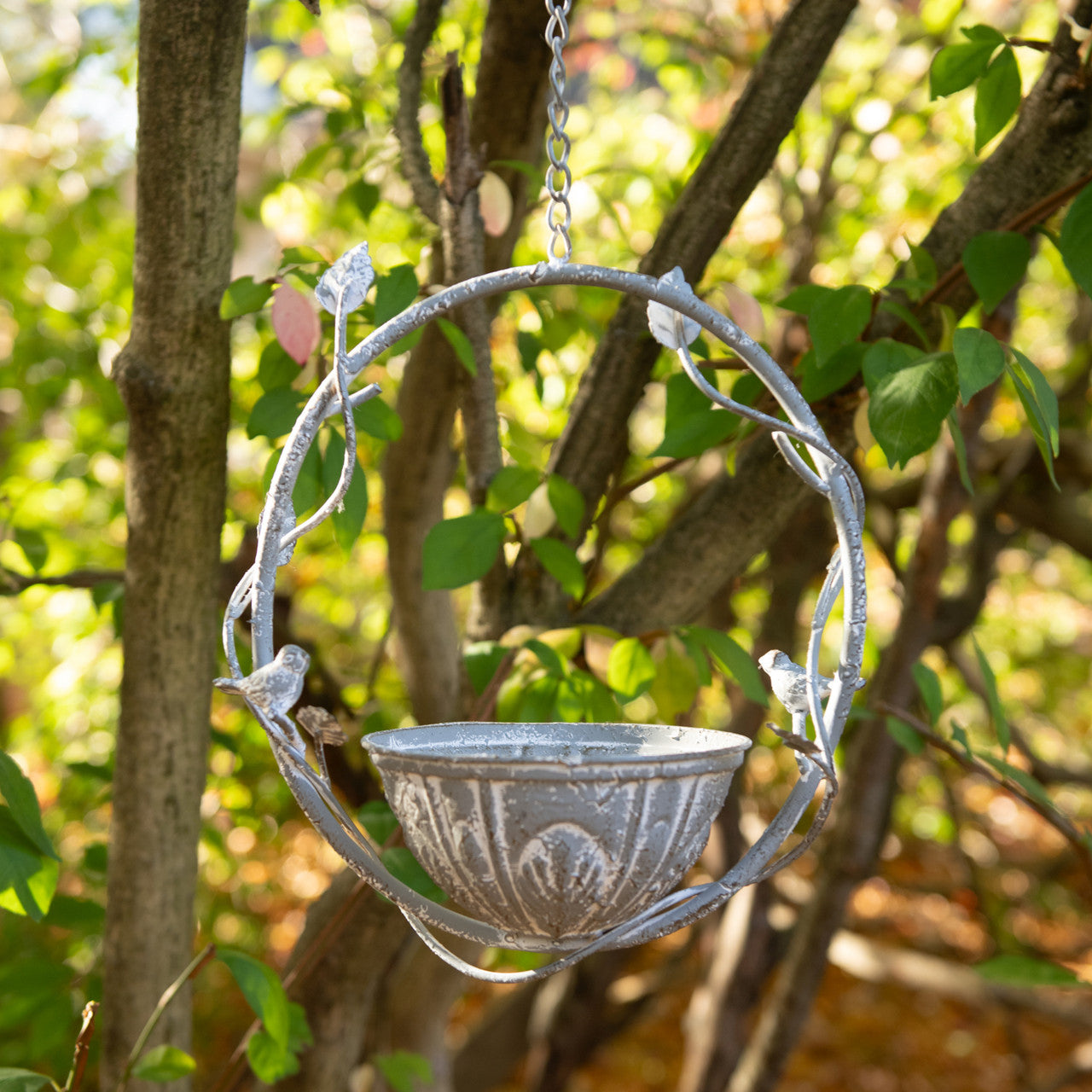 Vine Hanging Metal Bird Feeder with Bowl