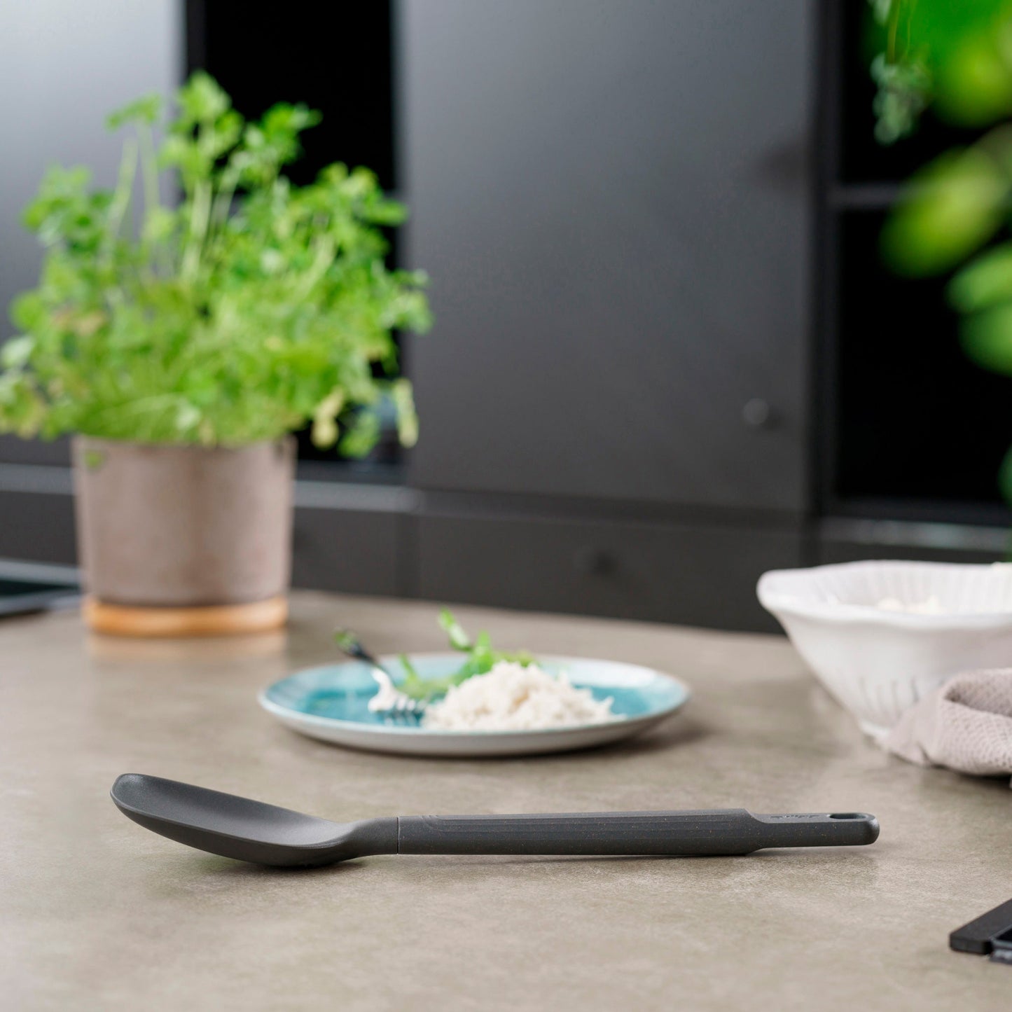 Zyliss Spoon