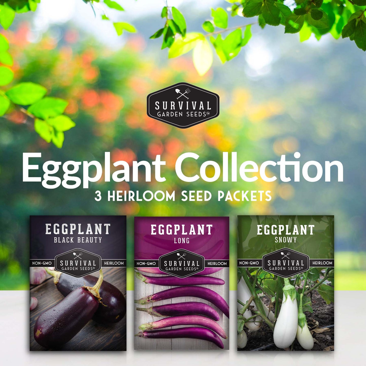 Eggplant Seed Collection – Snowy, Long Purple & Black Beauty Varieties for Home Gardens