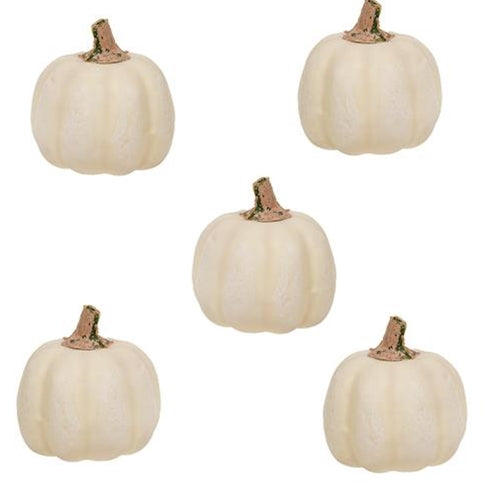 5/Set Mossy Stem Cream Pumpkins