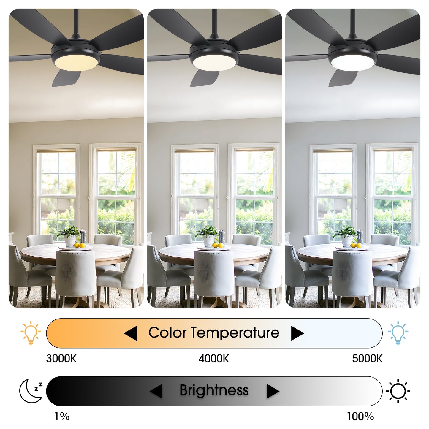 42 Inch Gladys Modern Black LED Ceiling Fan with Remote Control