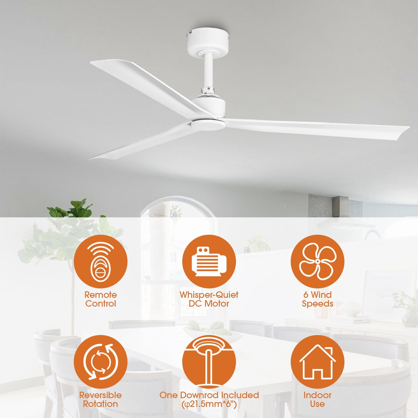 50 Inch Erica Modern Downrod Mount Ceiling Fan with Remote Control