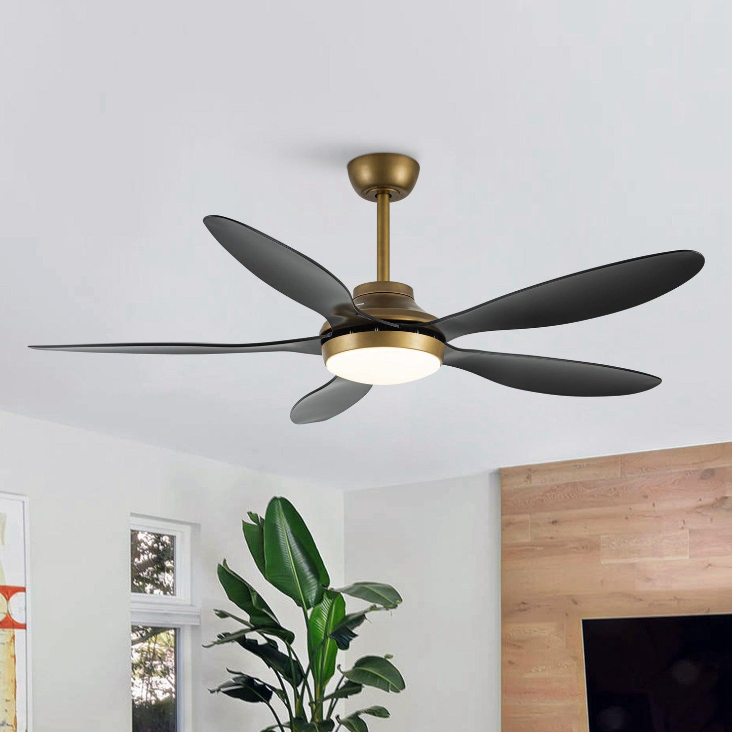 52" Punjab Smart Fan with LED Light