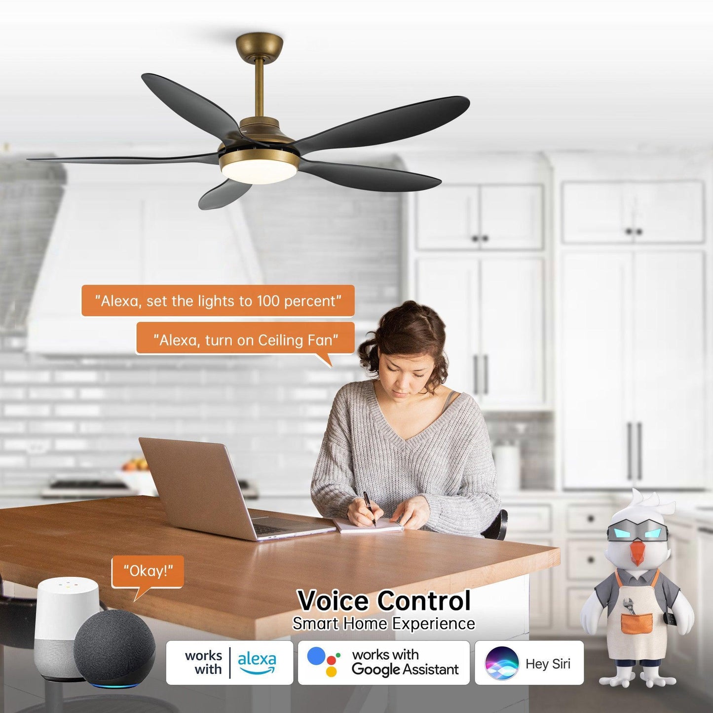 52" Punjab Smart Fan with LED Light