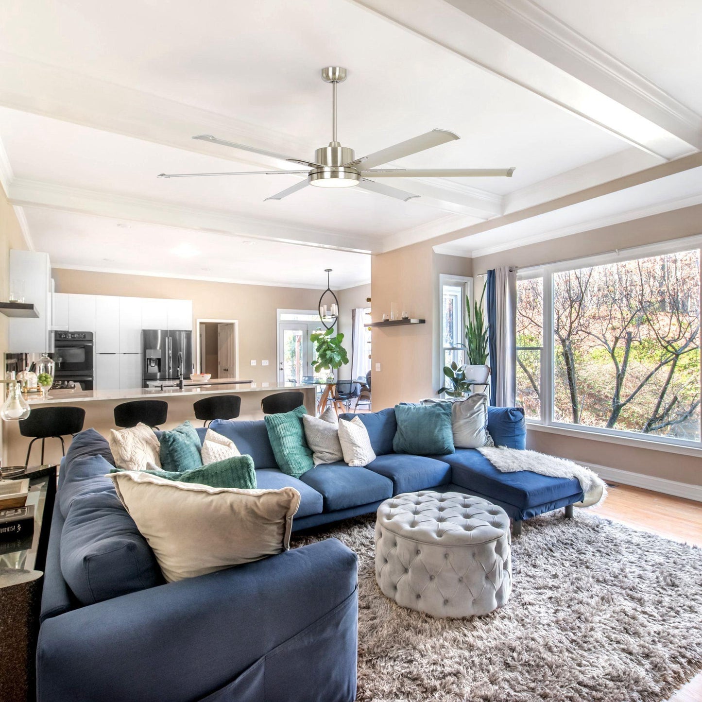 65'' Inch Freda DC Motor Modern Ceiling Fan Led Light Remote Control