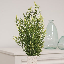 Cream Tipped Smilax Bush - 21"