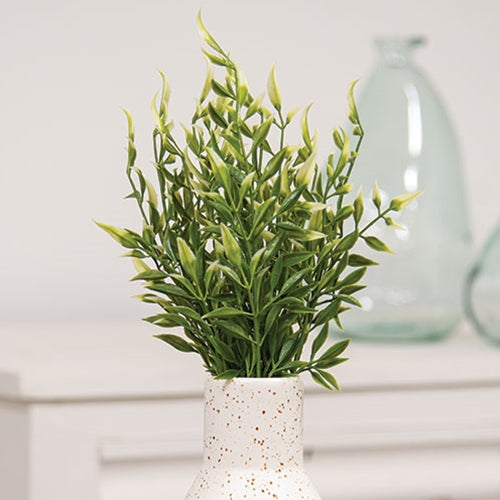 Cream Tipped Smilax Bush - 14"