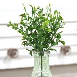 Evergreen English Boxwood Pick - 13"