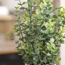 Dusty Mini Eucalyptus Bush - 19.5"