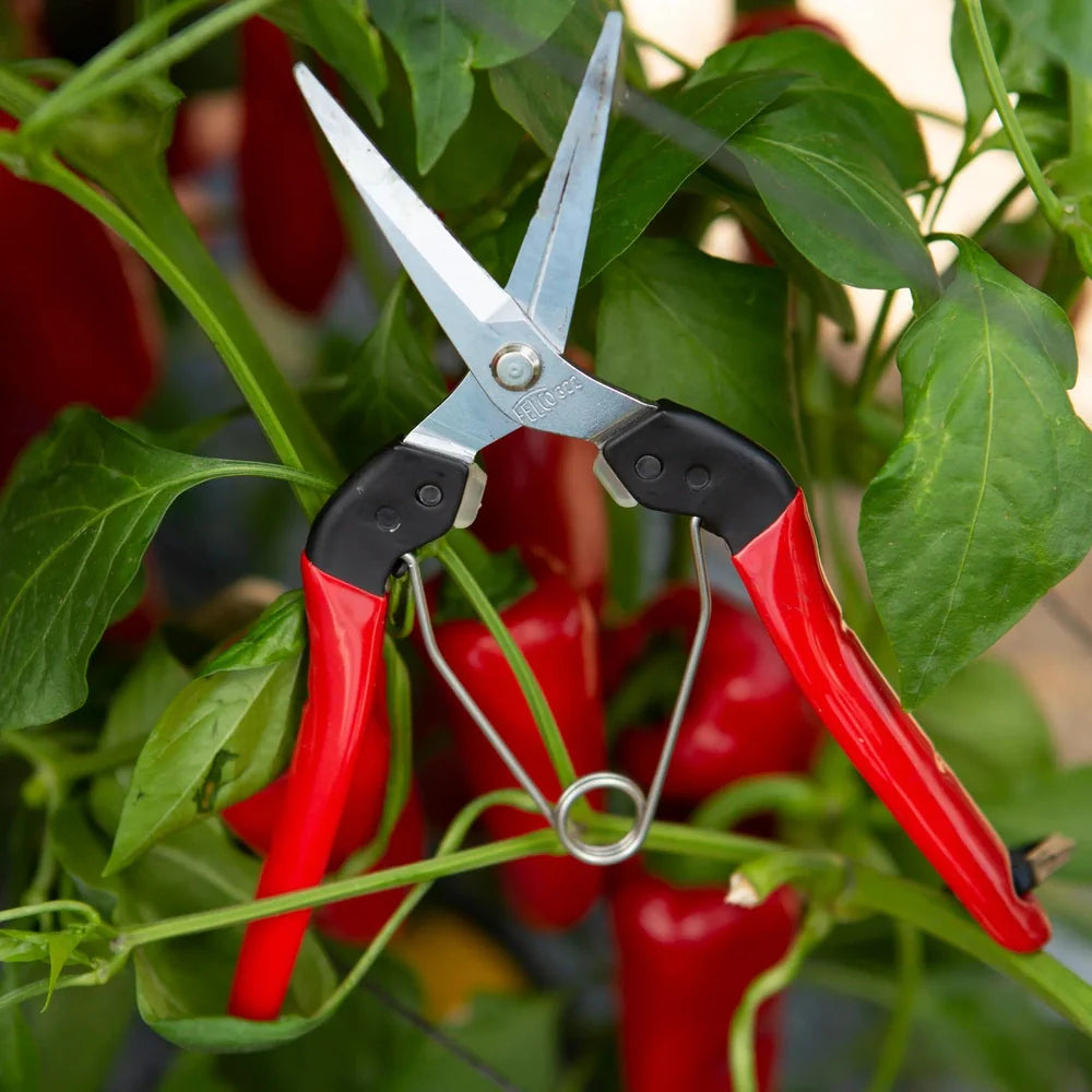 Felco 322 straight chromium190mm blade