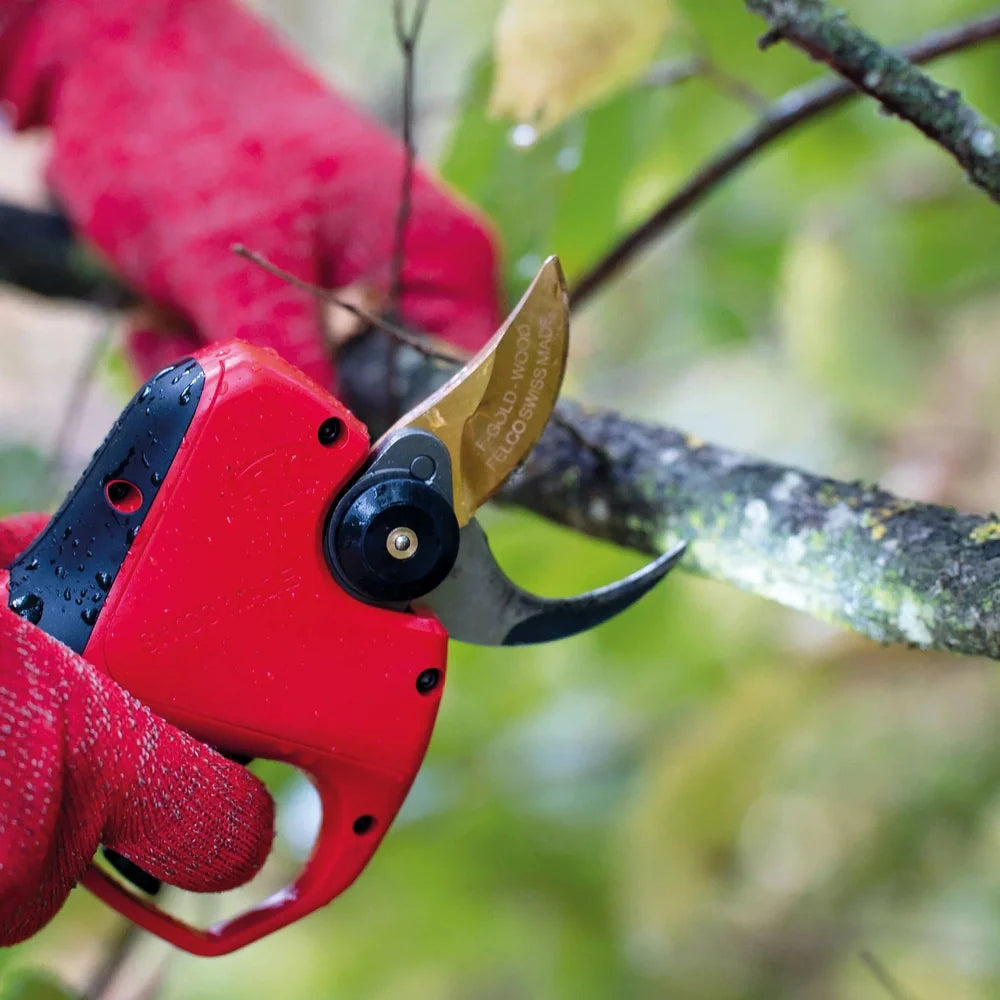 Felco 834W Precise Wood Cutting F-834W