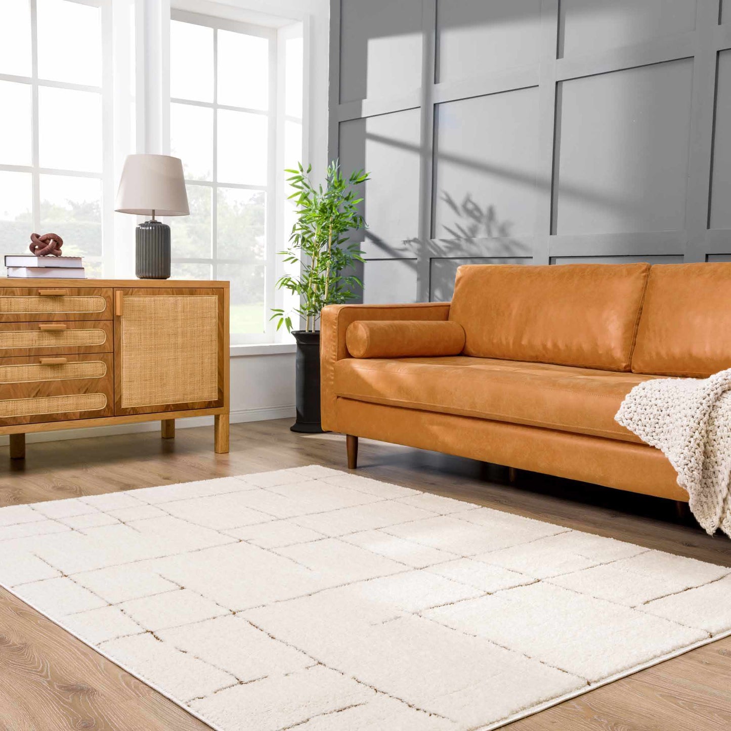 Koume Ivory & Brown Area Rug