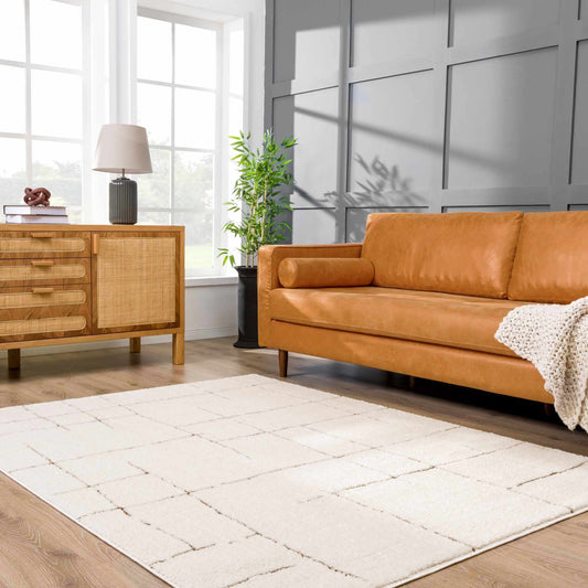 Koume Ivory & Brown Area Rug