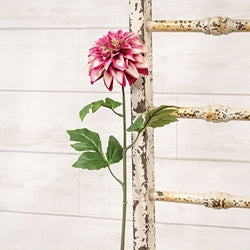 Hot Pink Dahlia Stem - 24.5"