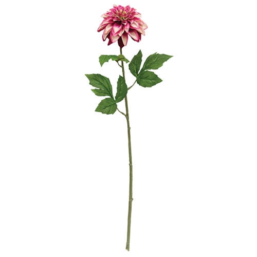 Hot Pink Dahlia Stem - 24.5"