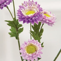 Lilac Strawflower Spray - 25"