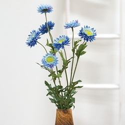Blue Strawflower Spray - 25"