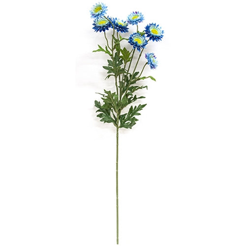Blue Strawflower Spray - 25"
