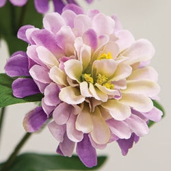 Lilac Zinnia Spray - 23.5"