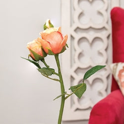 Blooming Peach Roses Pick - 17"